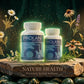 Prolan – Advanced Prostate Health & Maximum Care