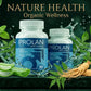 Prolan – Advanced Prostate Health & Maximum Care